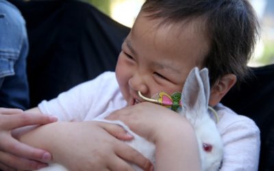 Little girl in Needham fighting cancer gets big ‘bunny’ bash to mark one year